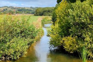 River View Axminster