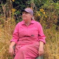 Allotment Fi Chair