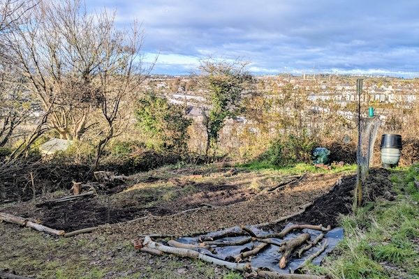 Food Forest Layer Layout 3