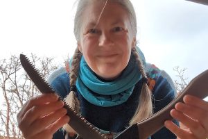 Gomboy Curve Saw Folding