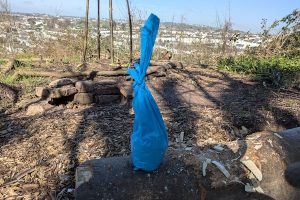 Luii Wee Bag Outside