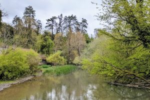 Great Elm Bridge View