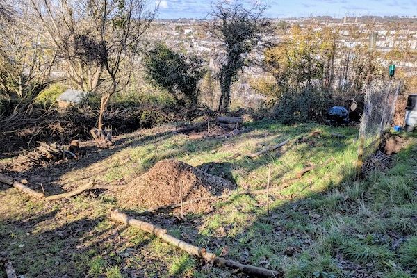 Food forest before planting
